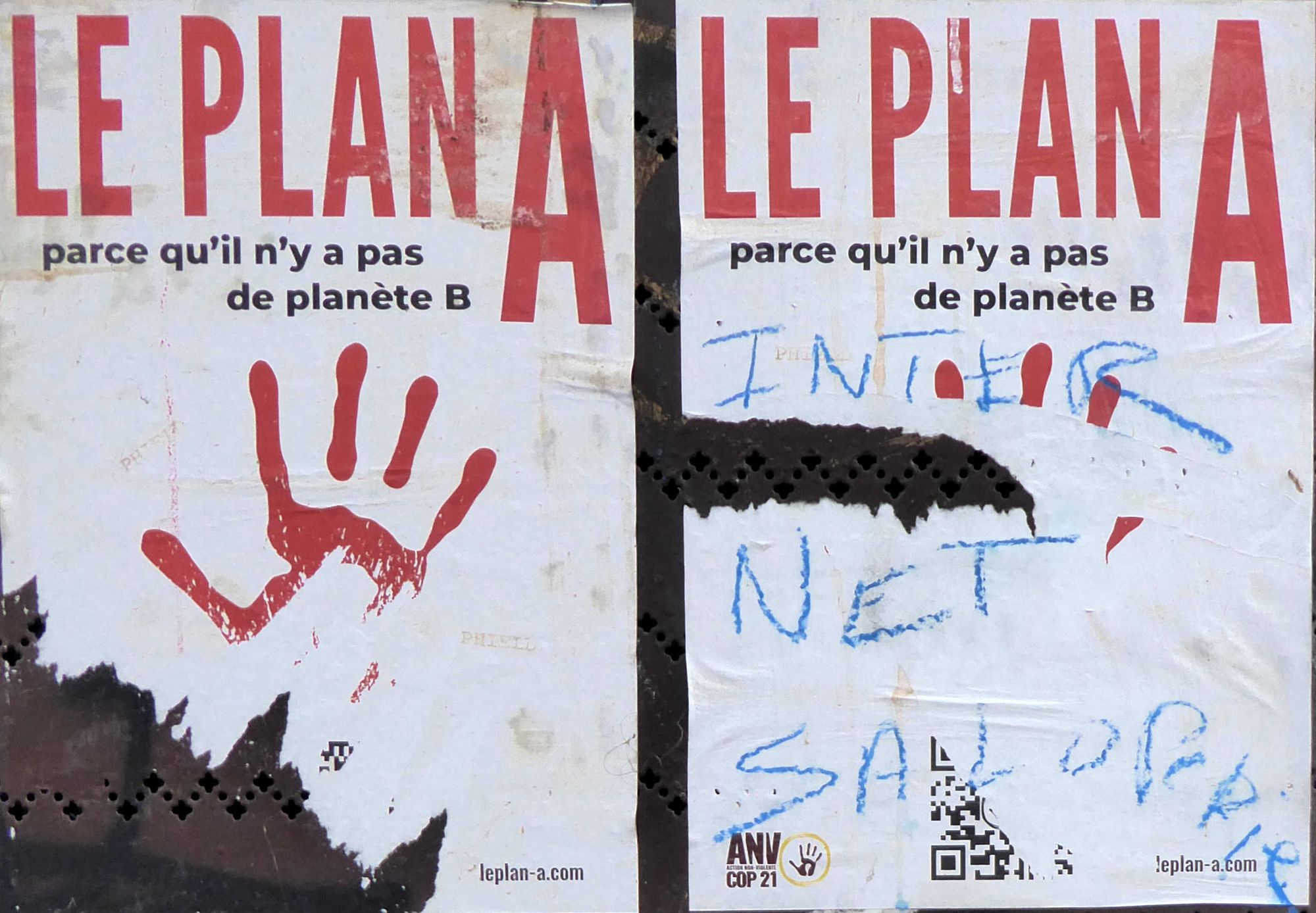 SportExpress : l'Asie, c'est loin...