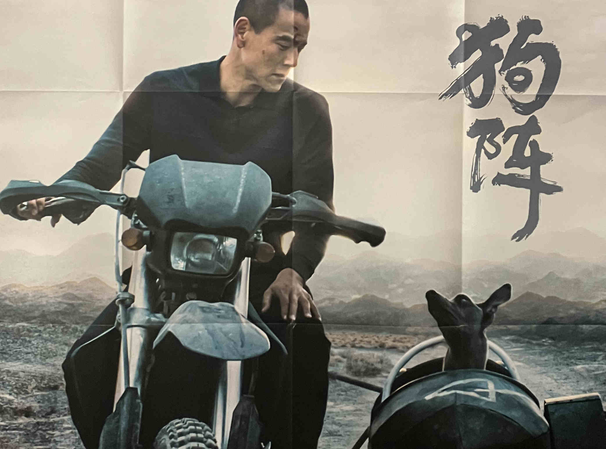 FLOP GORGES #7 : florilège des promesses non tenues du Maire