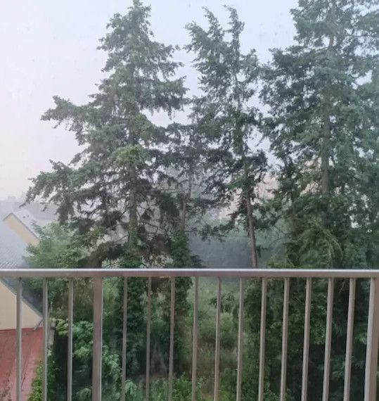 Sous le béton, la sève...(3)