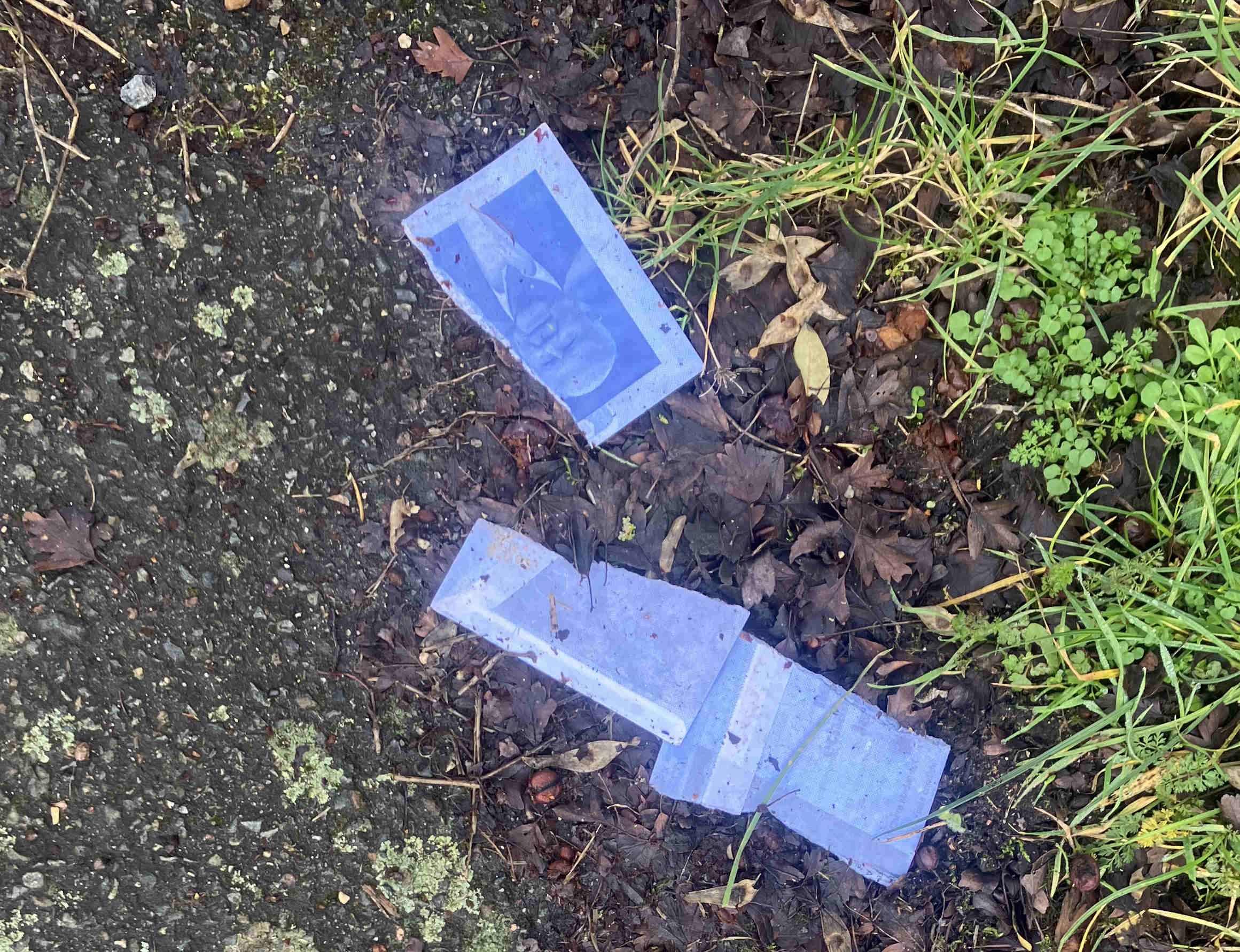 Impasse Jean-Pierre Gorges 2001-2026