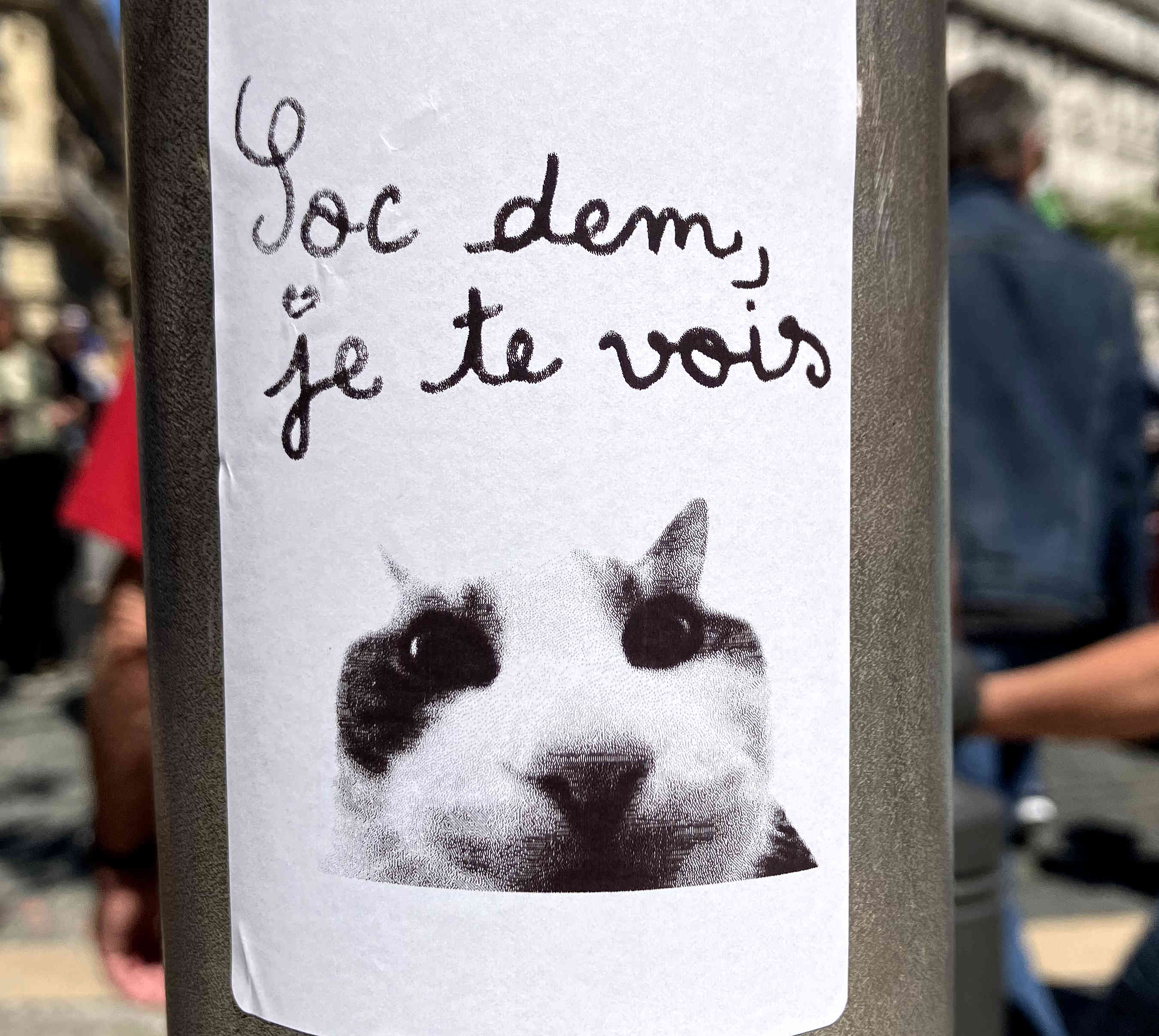 Choisis ton camp, camarade !