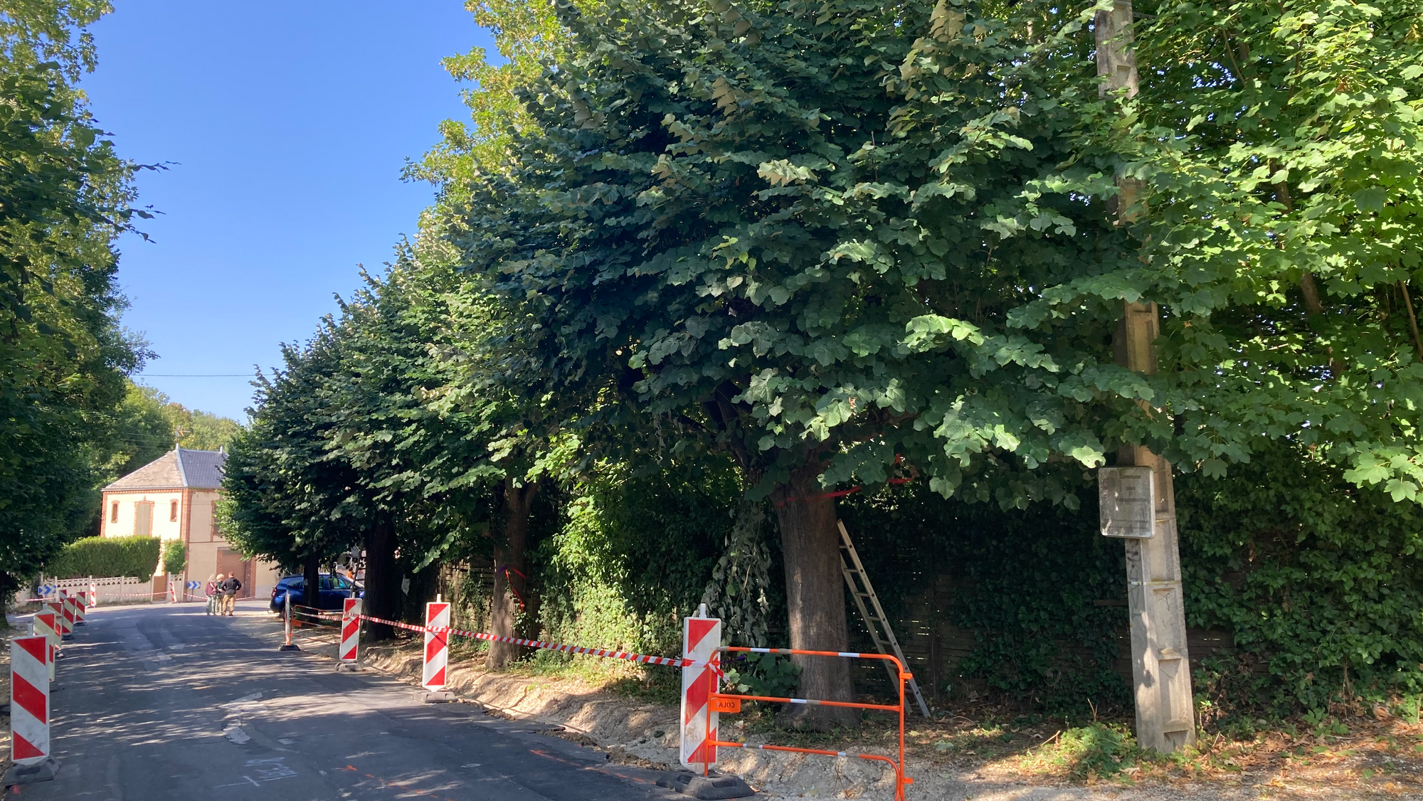 Qualité du cadre de vie = compétences