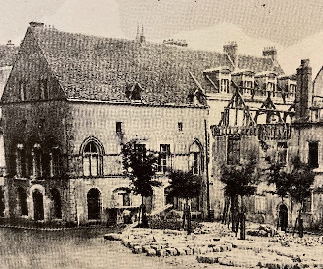 Pourquoi il faut (re)planter des arbres en alignement dans le cloître Notre-Dame