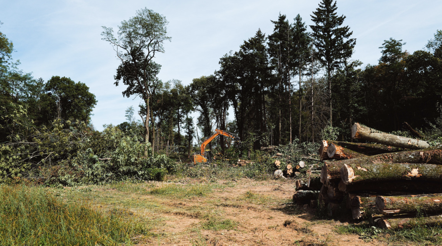 Supplique au 1er ministre pour abandonner le projet A 154 A120