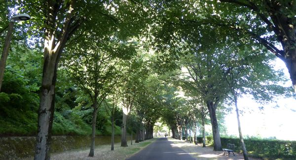 Du beau ou du moche (6) : la butte des Charbonniers en sursis