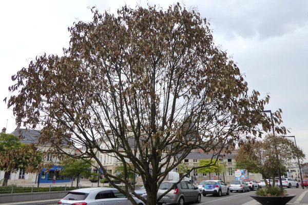 Du beau ou du moche (8) : la mort programmée des pots de fleurs gorgiens