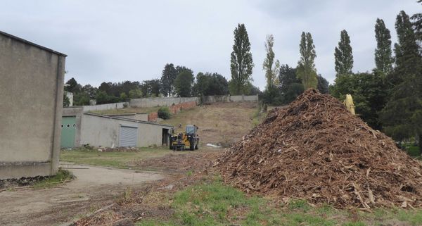 Du beau ou du moche (20) : Sequoia se plante à Chartres...