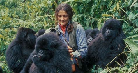 MOI, DIANE FOSSEY