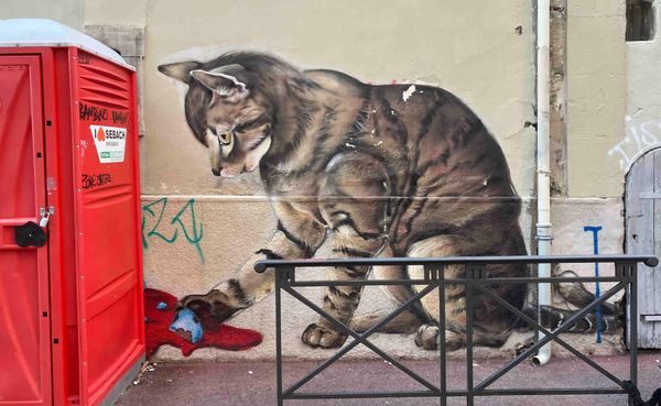 SportExpress : le cachet de Violette