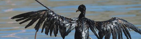 42 000 euros par an sans justificatifs : où va l’argent ?