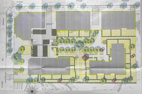 Sous le béton la sève... (2)