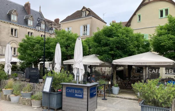 Sous le béton, la sève... (1)