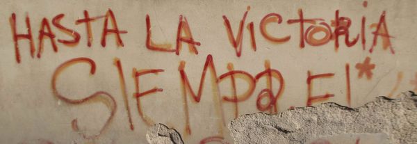 Mais qui est donc Attys Luna Vega Valdes ?