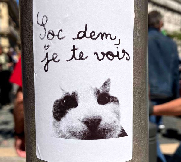 Choisis ton camp, camarade !