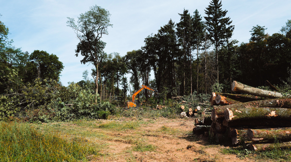 Supplique au 1er ministre pour abandonner le projet A 154 A120