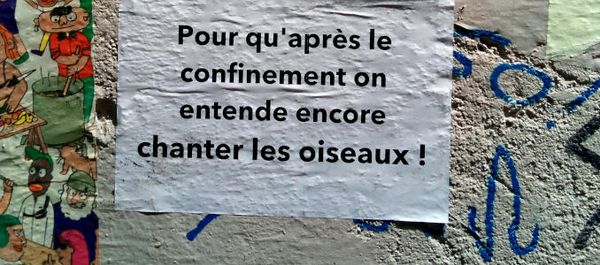 Départementales : Eure-et-Loir Écologie se présente dans 12 cantons